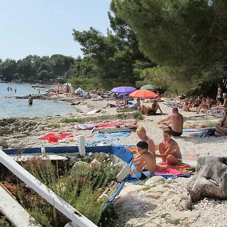 Апартаменты Laste *